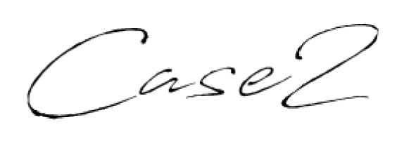 Case2